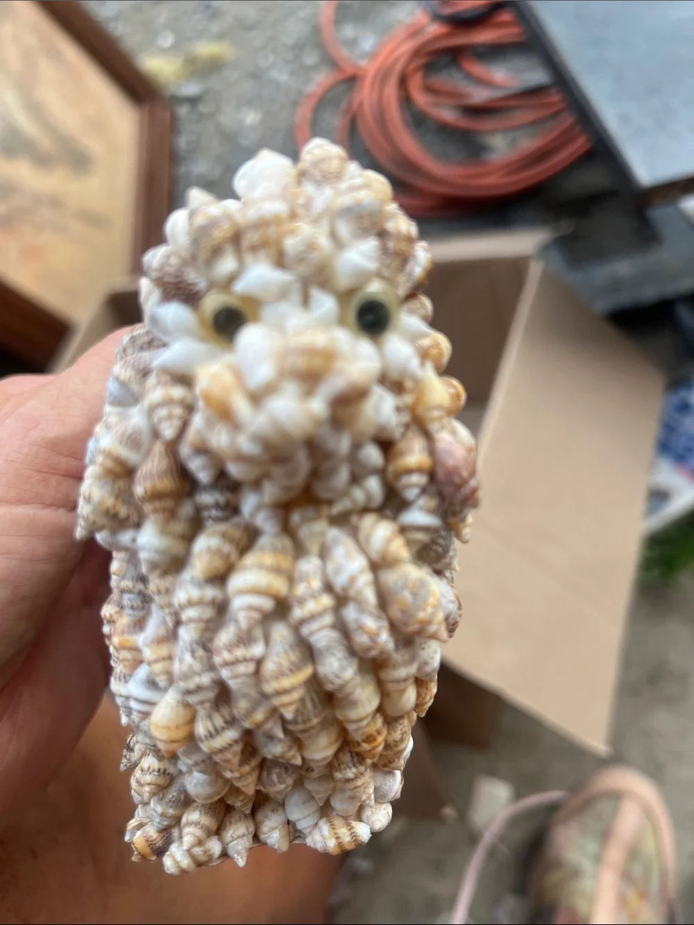 Narco decorative seashell